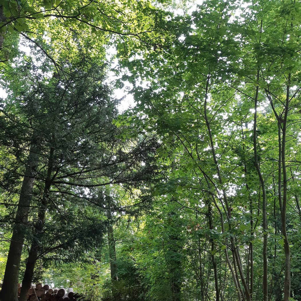 Parc Casimir Davaine 2
